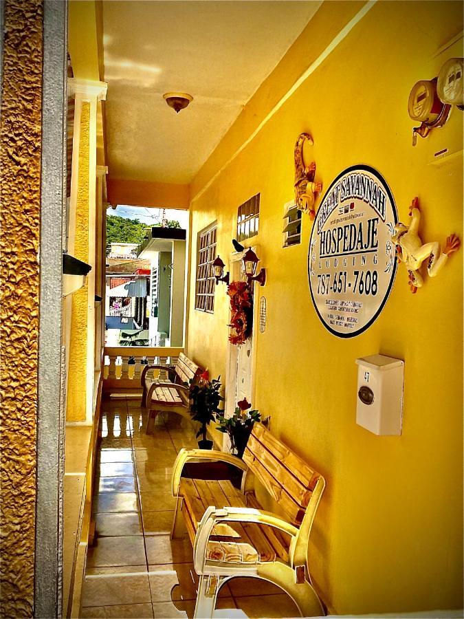 Great Savannah Guesthouse Sabana Grande Esterno foto